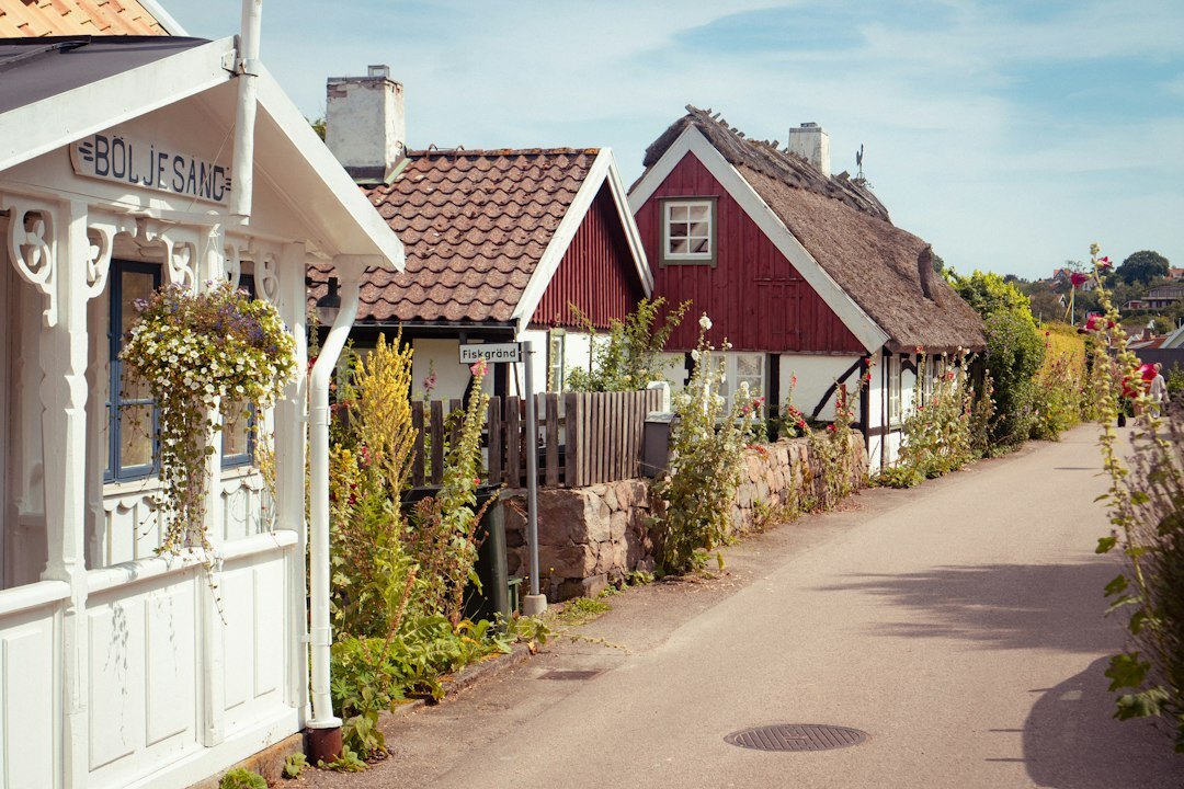 historical danish village